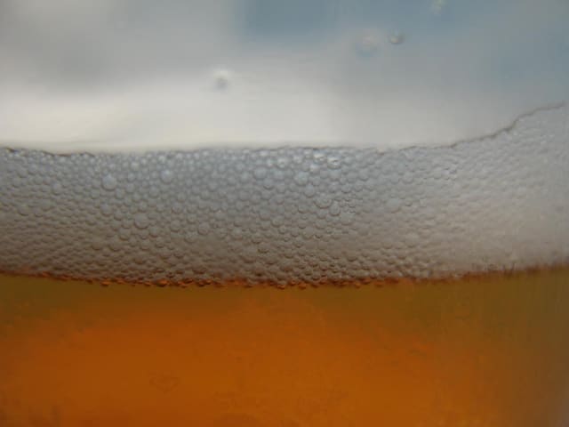 Bier